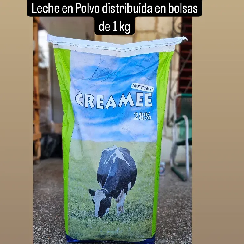 LECHE EN POLVO