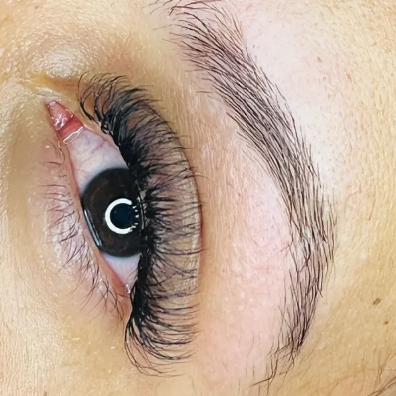 Pestañas pelo a pelo Volumen griego (3D)