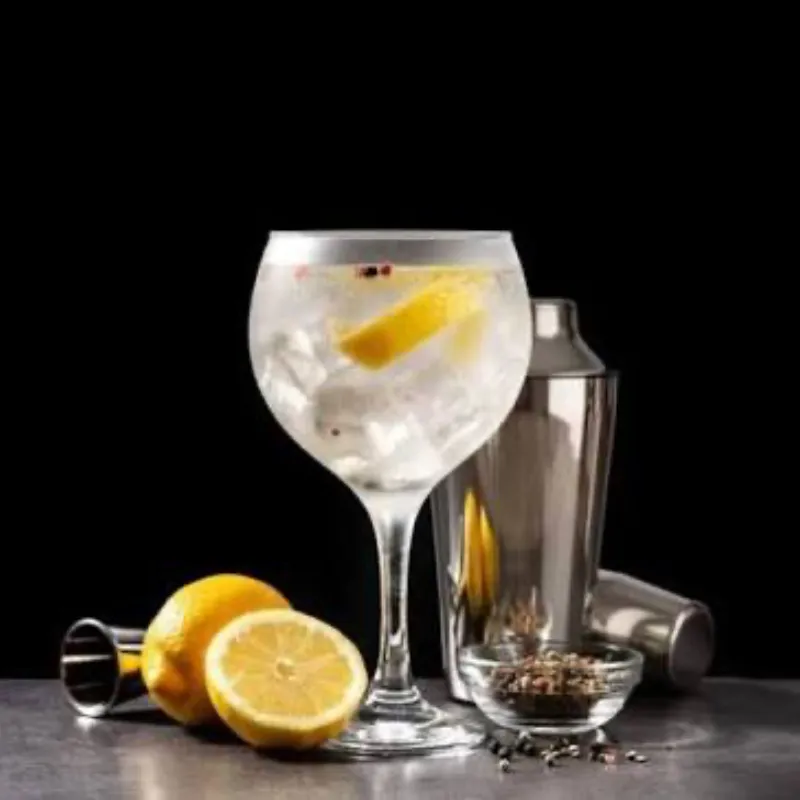 Gin Tonic