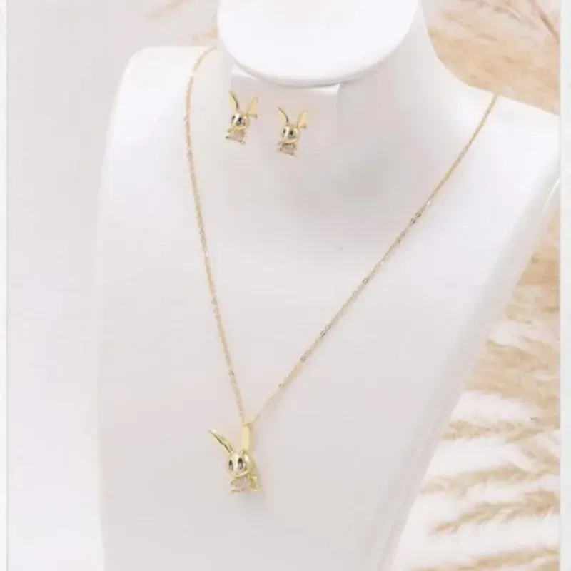 Set de cadena y arete