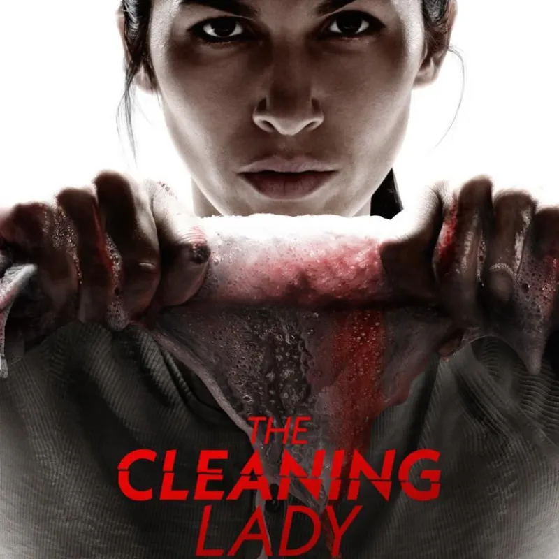 La Chica de la Limpieza
