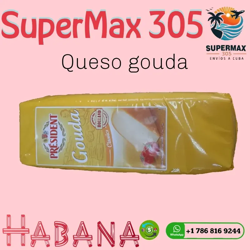 Queso Gouda President (1u)