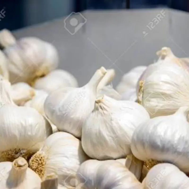 CABEZAS DE AJO SUELTAS