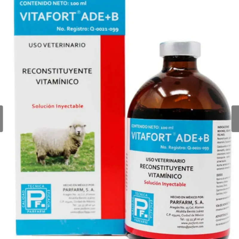 Vitafort ADE+B 100ml