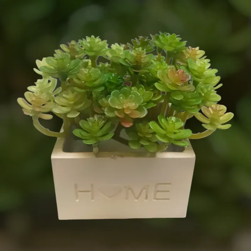 Maceta H❤️ME con suculentas artificiales