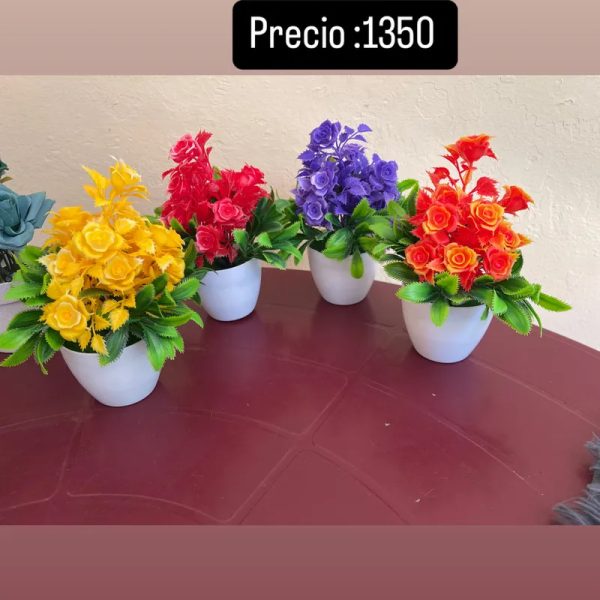 Macetas con flores