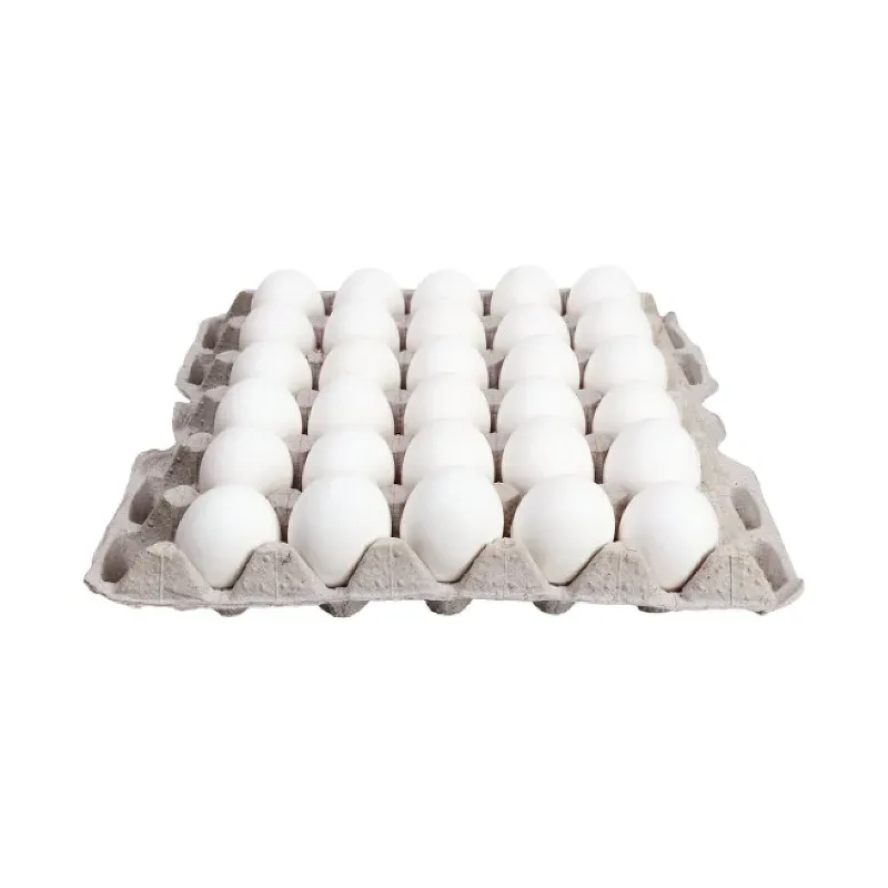 Carton de Huevos 30u