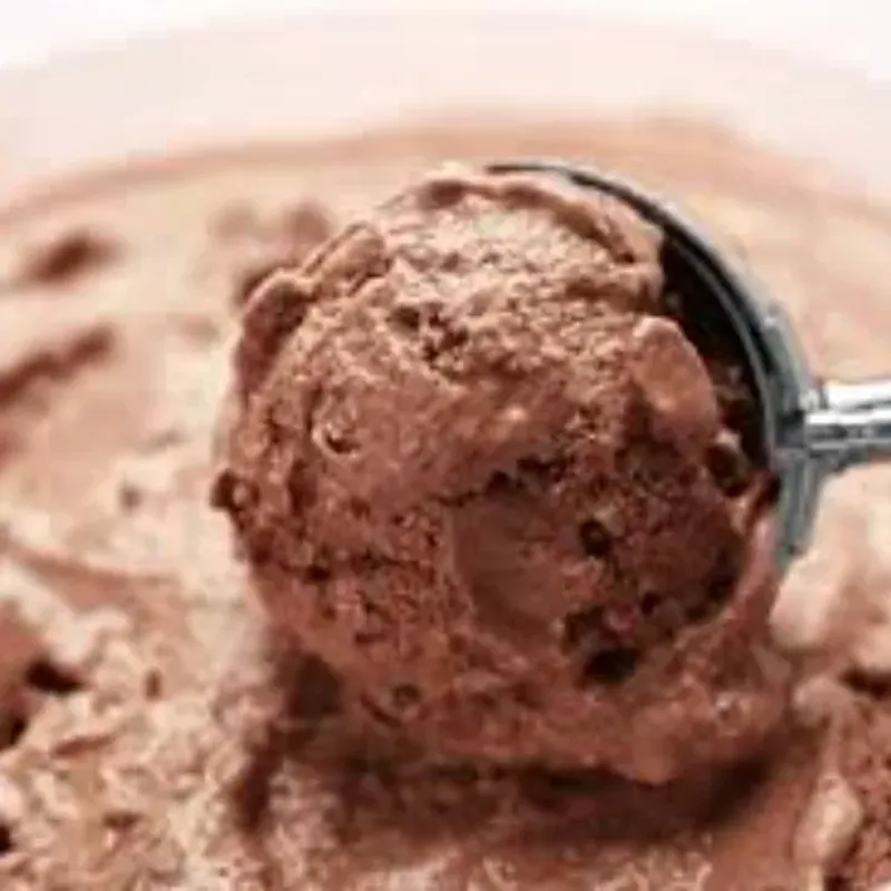 HELADO DE CHOCOLATE (10 L)