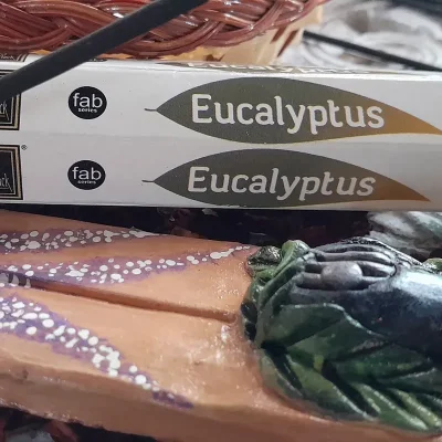 EUCALIPTO