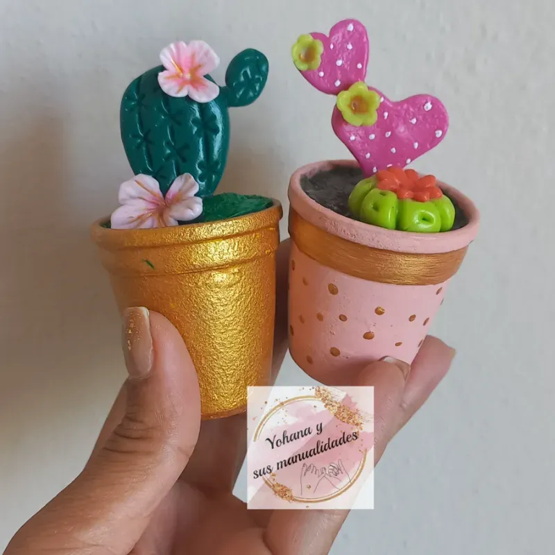 CACTUS O SUCULENTAS PEQUEÑAS- 400 CUP