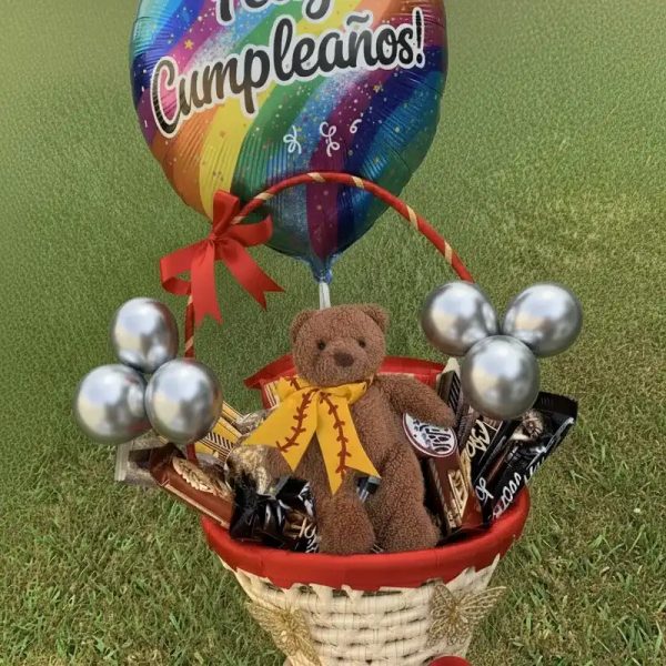 Cesta con Peluche 