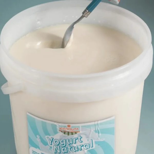 YOGUR SABORIZADO