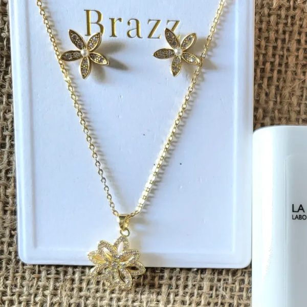 Set de cadena y aretes 