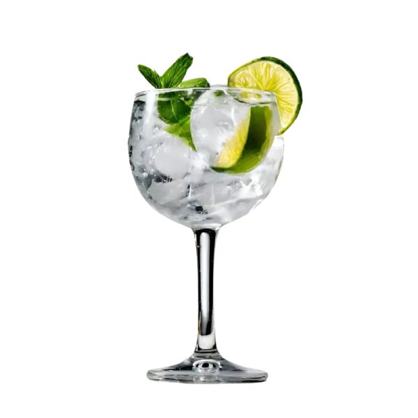 GIN TÓNIC