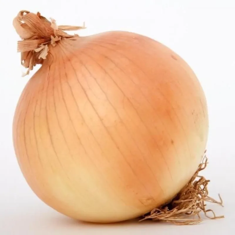 Cebolla