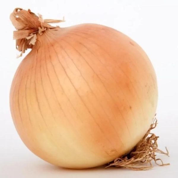 Cebolla