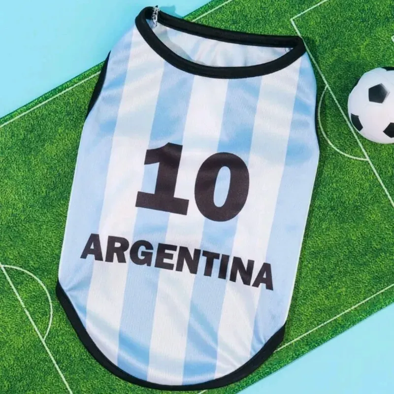 Pulover selección argentina