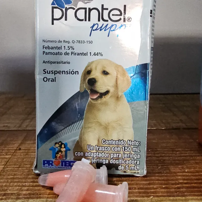 PRANTEL PUPPY (Febantel, Pirantel) pipeta de 1 ML