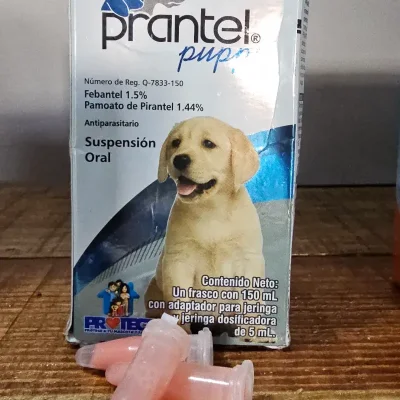 PRANTEL PUPPY (Febantel, Pirantel) pipeta de 1 ML