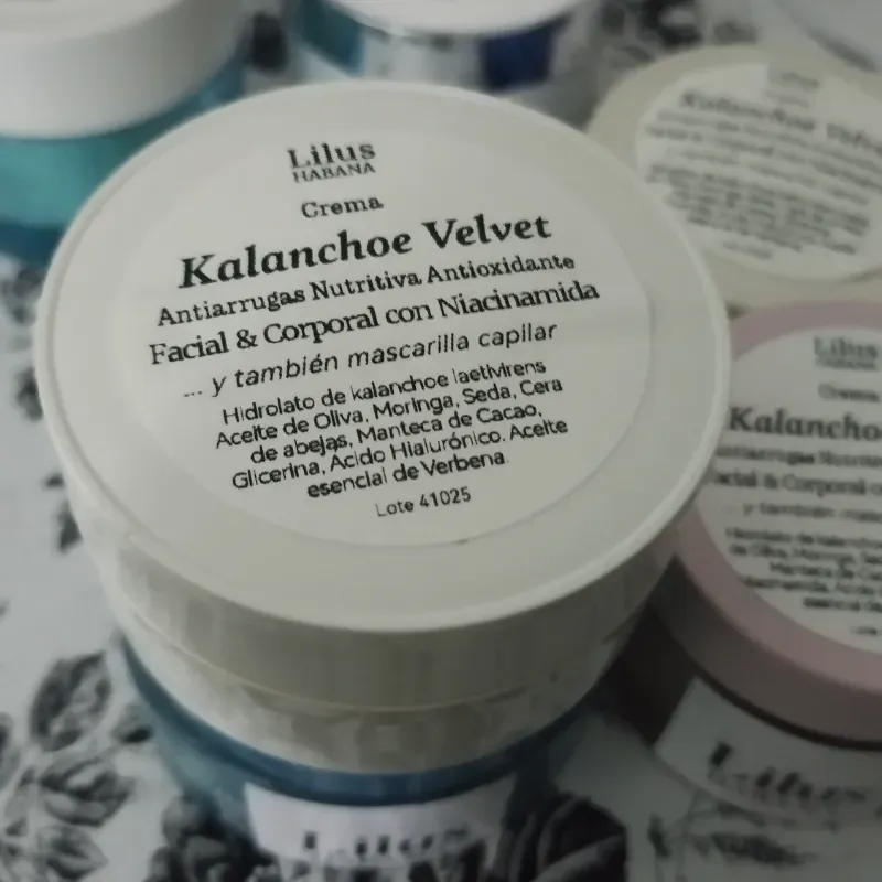 Kalanchoe Velvet 60g