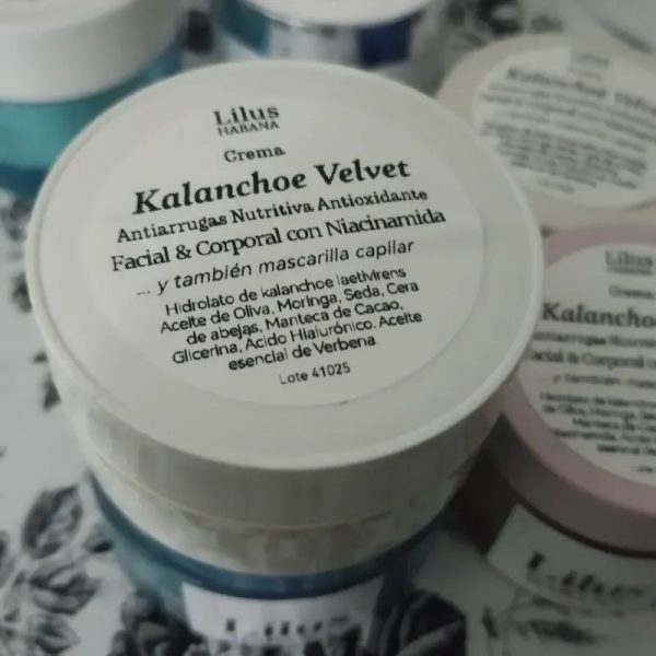 Kalanchoe Velvet 60g