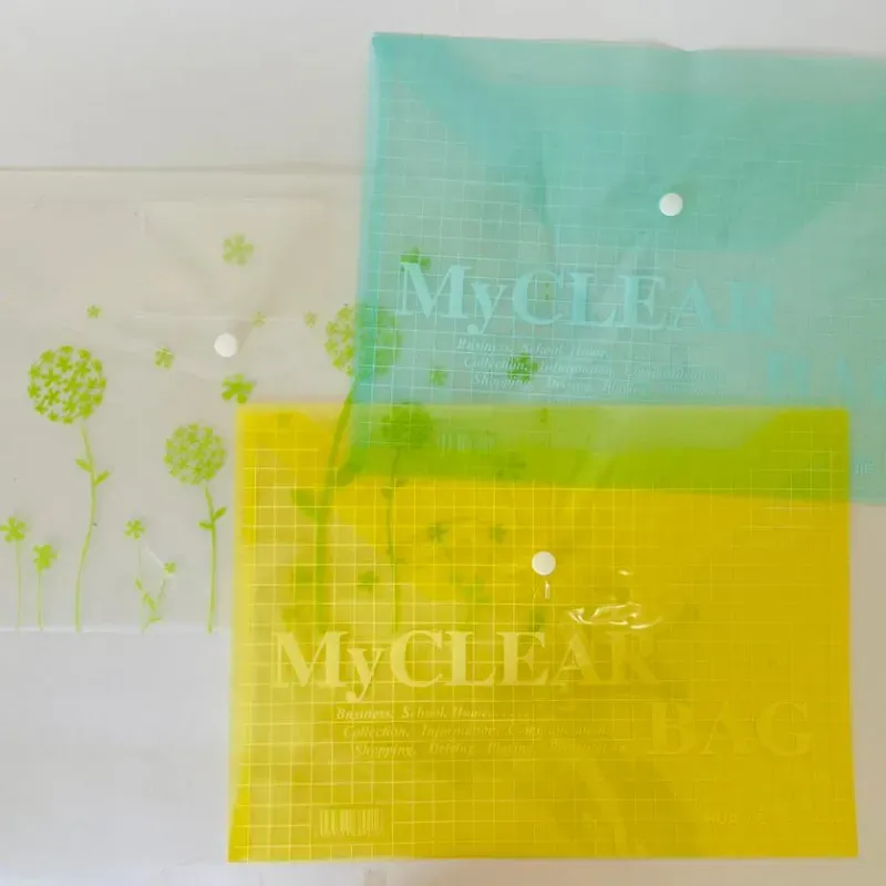 Carpeta transparente