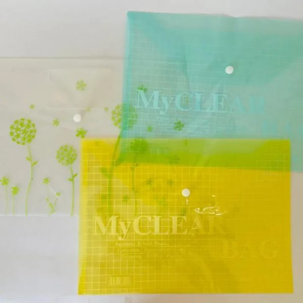 Carpeta transparente