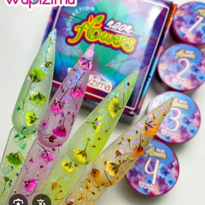 Colecciones Wapizima