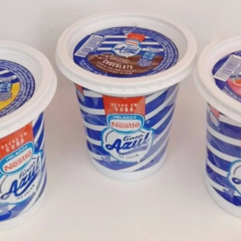 Pote helado Nestlé (450ml)