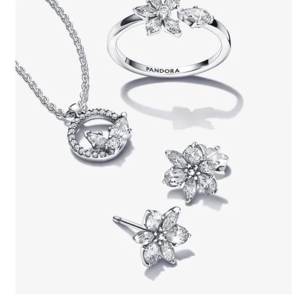 Conjunto de Flores
