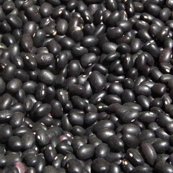 Frijoles negros