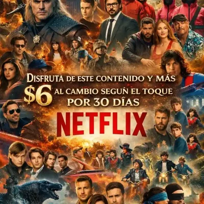 Netflix Individual