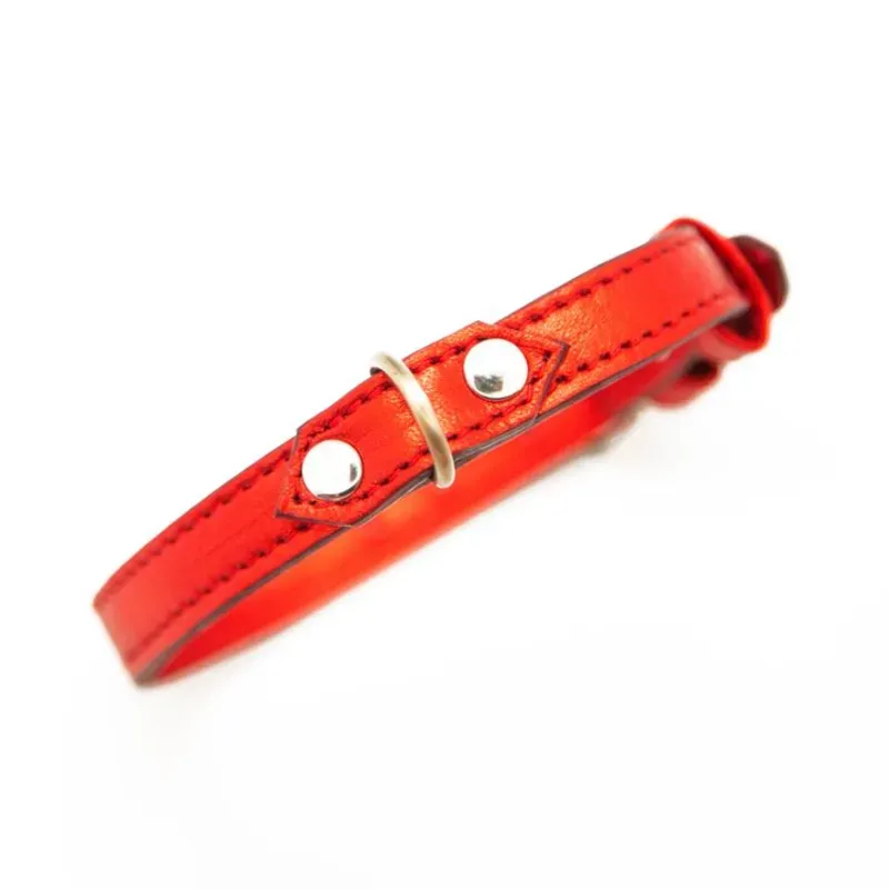 60990 Collar de cuero