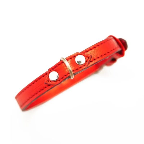 60990 Collar de cuero