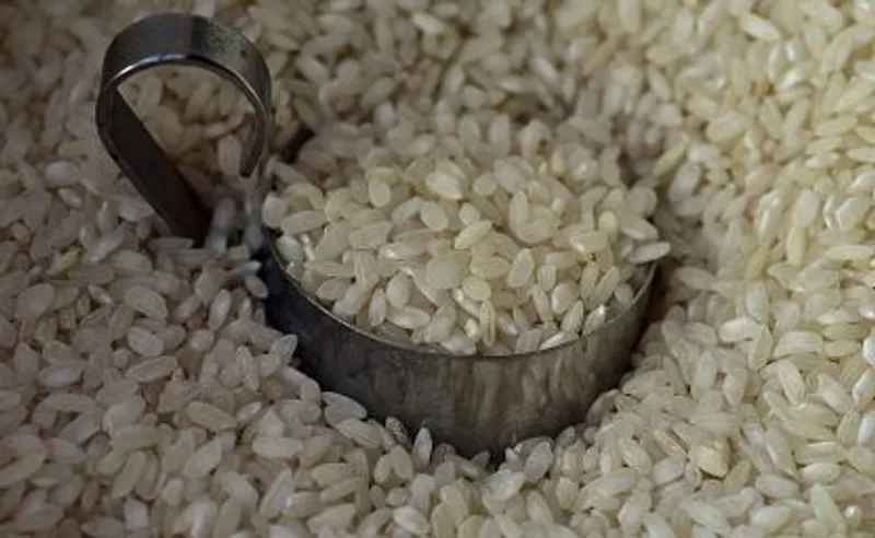 Arroz