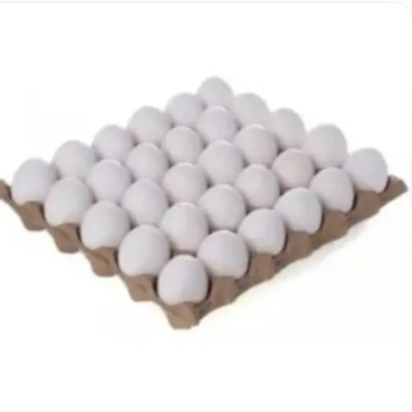 Huevos