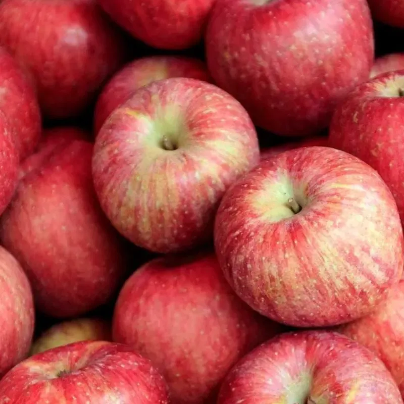 Manzana