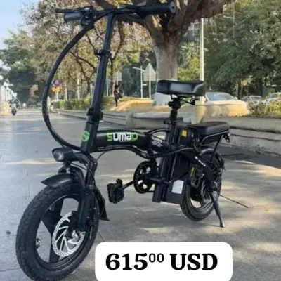 Bicicleta Eléctrica Compacta