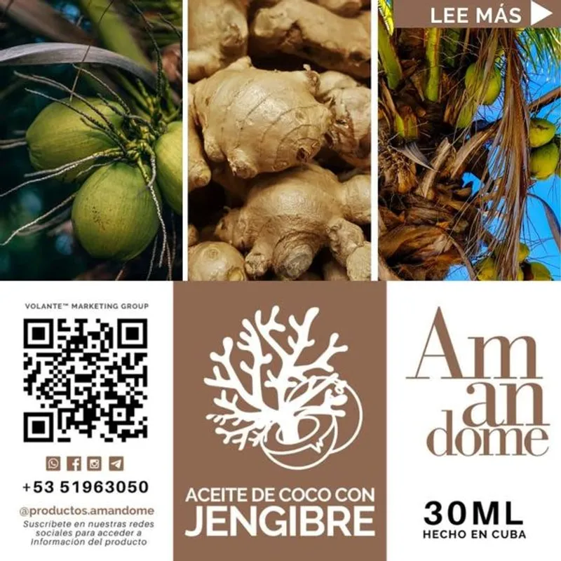 COCO CON JENGIBRE 30ml