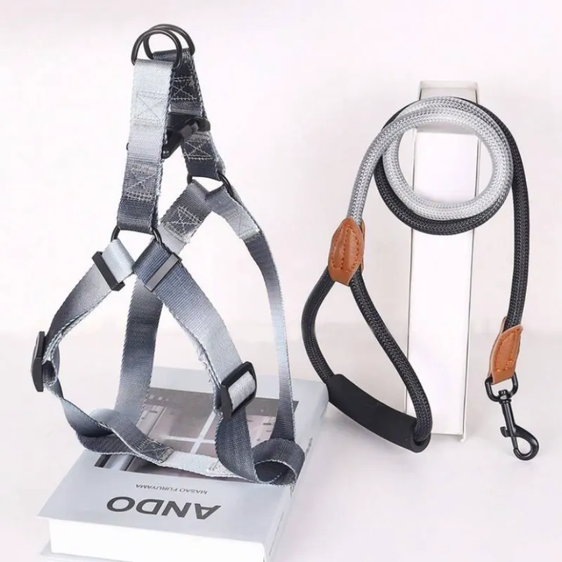 Conjunto de arnes y correa