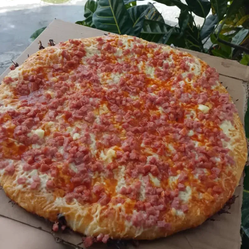 Pizza familiar especial de jamón