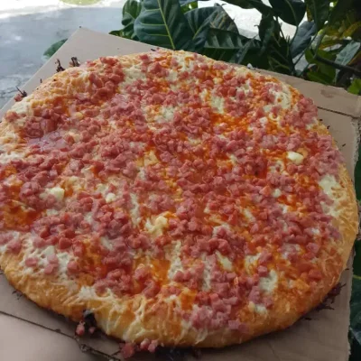 Pizza familiar especial de jamón