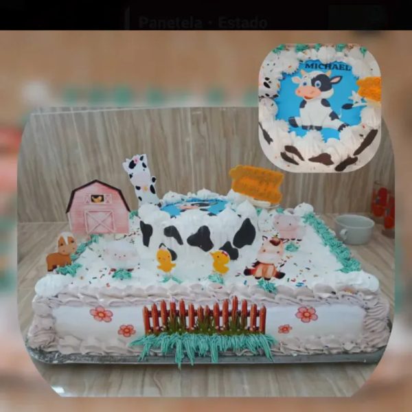 Cake grande personalizado