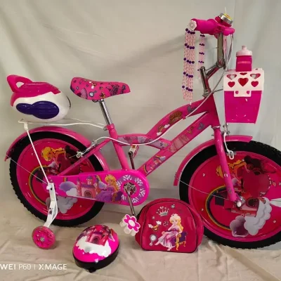 Bicicleta medida 20 con accesorios.