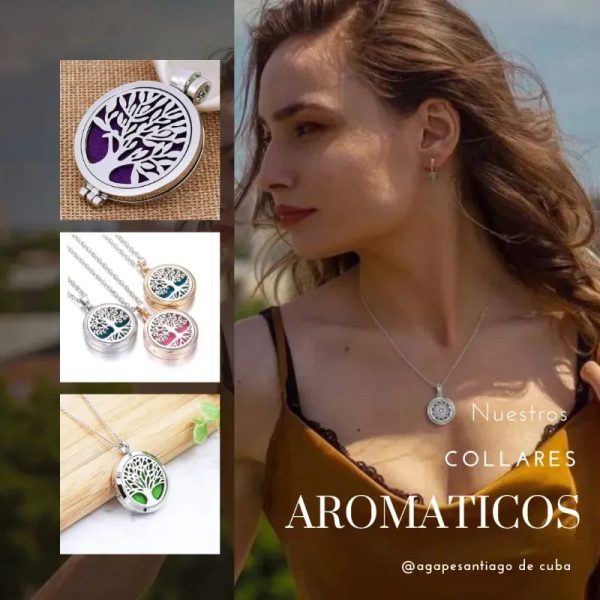 Collares aromáticos de acero inoxidable