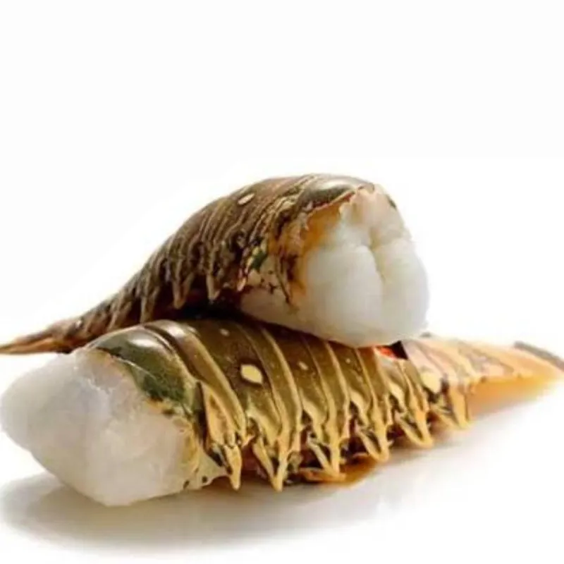Langosta