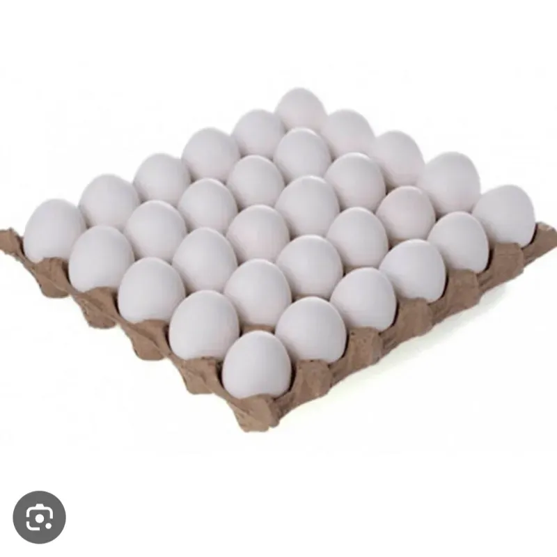 Huevo Cartón 30u