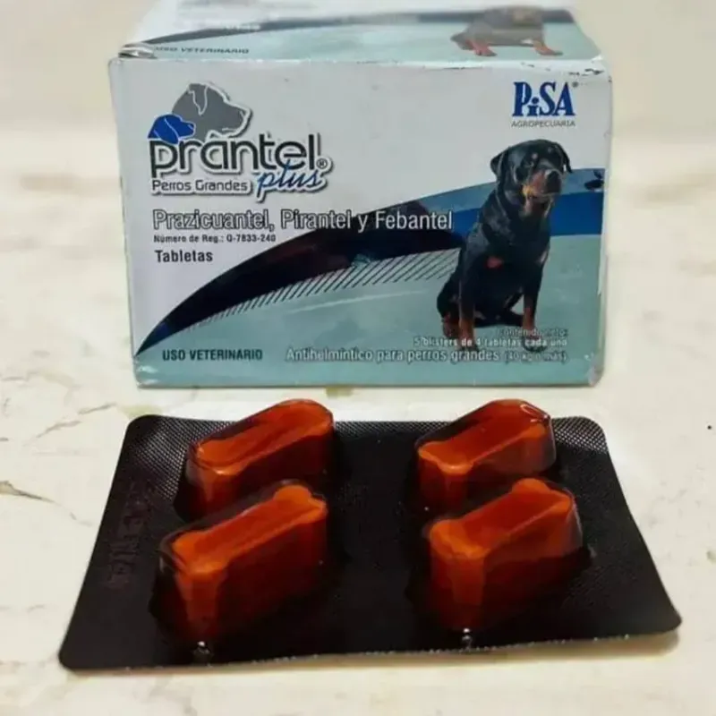 Prantel Plus