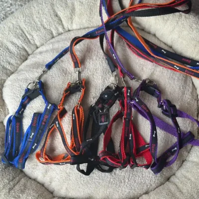 ARREO MEDIANO FUERTE