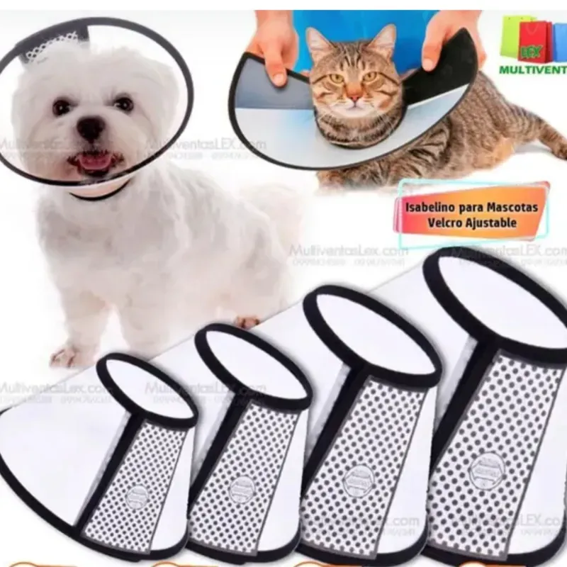 TALLA 7 (15-18 CM) COLLAR ISABELINO